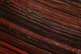 Polished Tiger Iron Stromatolite - Billion Years #129350-1